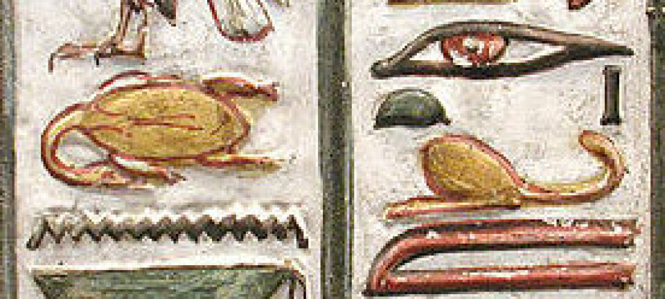 Hieroglyf fra Seti den førstes grav. Nederst i første kolonne til venstre for de tre strekene finner man hieroglyfen for hjerte. Hieroglyfen for øye ser vi i andre kolonne. (Foto: Jon Bodsworth/British Museum/Wikimedia Commons)