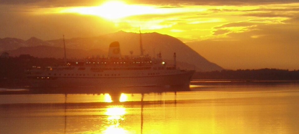 Cruiseskipet M/S Funchal på veg gjennom Tjeldsundet. (Foto: Ingrid Bakkeløkken)