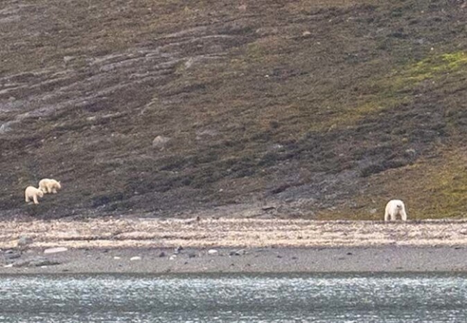 The group of researchers quickly moved out of the area as the mother bear and her two cubs approached. The group of researchers quickly moved out of the area as the mother bear and her two cubs approached.