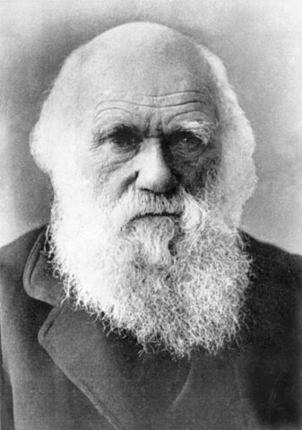 Charles Darwin anses som grunnleggeren av moderne evolusjonsbiologi. Charles Darwin anses som grunnleggeren av moderne evolusjonsbiologi.