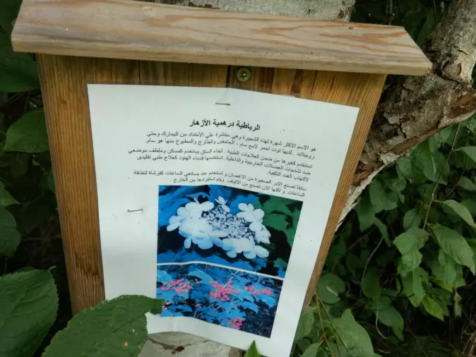Et bilde fra en kultursti arrangert i en av kommunene han brukte hvor det stod skrevet om blomster og slikt på både norsk og arabisk.