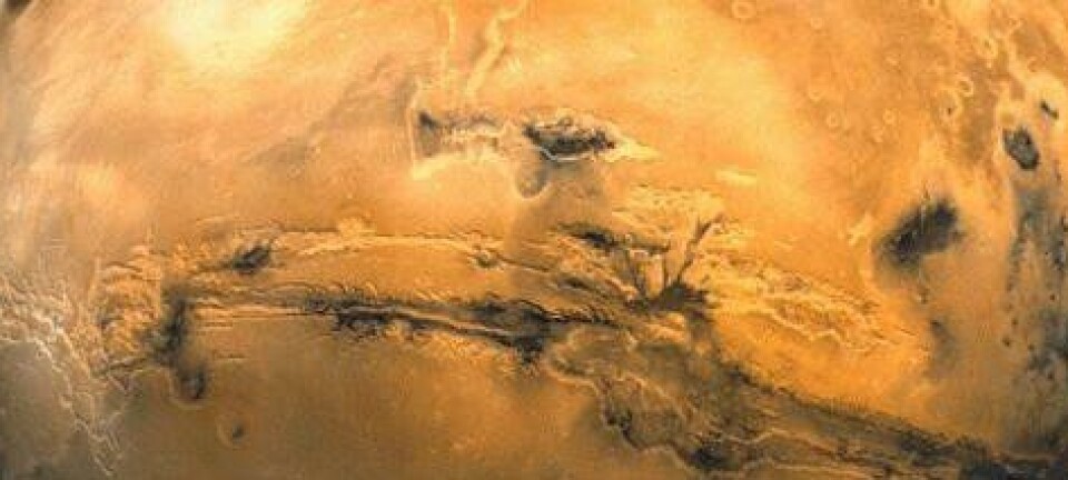 Mars. (Foto: JPL/NASA)