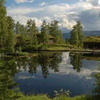 På NANOMAT-konferansen på Lillehammer fortalte Erik Joner om en ny metode for å studere eksponeringen av nanopartikler i miljøet. (Foto: Shutterstock) På NANOMAT-konferansen på Lillehammer fortalte Erik Joner om en ny metode for å studere eksponeringen av nanopartikler i miljøet. (Foto: Shutterstock)