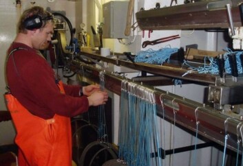 Å sortere linekroker er en tidkrevende jobb. Maskinsyn kan avsløre 97,5 prosent av de defekte krokene. (Foto: Aqua Gen AS) Å sortere linekroker er en tidkrevende jobb. Maskinsyn kan avsløre 97,5 prosent av de defekte krokene. (Foto: Aqua Gen AS)