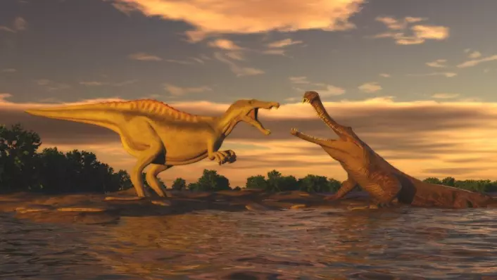 "En krittidsdinosaur stirrer inn i gapet på Sarcosuchus imperator. Sereno og kollegaene tror den hadde dinokjøtt på menyen. (Illustrasjon: National Geographic)"