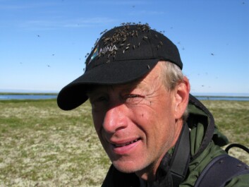 Tverrfagligheten i Økosystem Finnmark var både krevende og spennende, mener prosjektleder Rolf Anker Ims ved Universitetet i Tromsø. Tverrfagligheten i Økosystem Finnmark var både krevende og spennende, mener prosjektleder Rolf Anker Ims ved Universitetet i Tromsø.