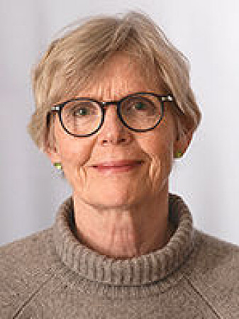 - Historiske romaner er et møte mellom to tidshorisonter - forfatterens nå og fortidens da, ifølge professor i litteratur Anne Birgitte Rønning ved UiO. - Historiske romaner er et møte mellom to tidshorisonter - forfatterens nå og fortidens da, ifølge professor i litteratur Anne Birgitte Rønning ved UiO.