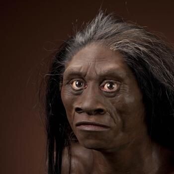 Omtrent slik så kanskje <span class=" italic" data-lab-italic_desktop="italic">Homo floresiensis</span> ut. Omtrent slik så kanskje <span class=" italic" data-lab-italic_desktop="italic">Homo floresiensis</span> ut.