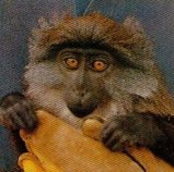 "Denne karen, fra 1988, er åpenbart glemt i dag" "Denne karen, fra 1988, er åpenbart glemt i dag"