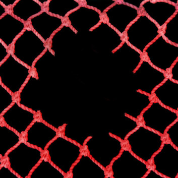 (Illustrasjonsfoto: www.colourbox.no) (Illustrasjonsfoto: www.colourbox.no)