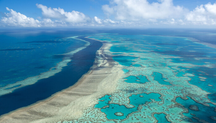 Great Barrier Reef er 2600 kilometer langt og kan sees fra verdensrommet. Nå er korallene truet av klimaendringene. Great Barrier Reef er 2600 kilometer langt og kan sees fra verdensrommet. Nå er korallene truet av klimaendringene.