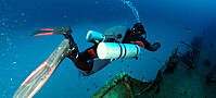 Stort gjennombrudd i forskning på dykkersyke