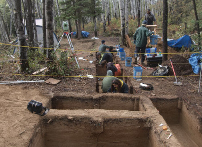 Arkeologer finner eldgamle spor for kontakt mellom kontinentene i Alaskas ødemark. Her ved Upward Sun River har de funnet et barn som er kremert og begravd for 11 500 år siden. (Foto: Ben A. Potter, University of Alaska Fairbanks/Science/AAAS) Arkeologer finner eldgamle spor for kontakt mellom kontinentene i Alaskas ødemark. Her ved Upward Sun River har de funnet et barn som er kremert og begravd for 11 500 år siden. (Foto: Ben A. Potter, University of Alaska Fairbanks/Science/AAAS)