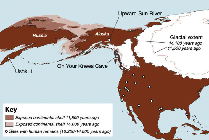 Kart som viser plasseringen av Upward Sun River, sentralt i Alaska. Andre steinalderfunn i Nord-Amerika er markert med hvit prikk. Ushki på Kamtsjatka er markert i venstre kant av kartet. Lys brun og mellombrun farge viser havnivået for 14 000 og 11 500 år siden. Utstrekningen av de to store iskappene som lå over Nord-Amerika er også markert. Klikk på forstørrelsesglass for større versjon. (Illustrasjon: Ben A. Potter, University of Alaska Fairbanks/Science/AAAS) Kart som viser plasseringen av Upward Sun River, sentralt i Alaska. Andre steinalderfunn i Nord-Amerika er markert med hvit prikk. Ushki på Kamtsjatka er markert i venstre kant av kartet. Lys brun og mellombrun farge viser havnivået for 14 000 og 11 500 år siden. Utstrekningen av de to store iskappene som lå over Nord-Amerika er også markert. Klikk på forstørrelsesglass for større versjon. (Illustrasjon: Ben A. Potter, University of Alaska Fairbanks/Science/AAAS)