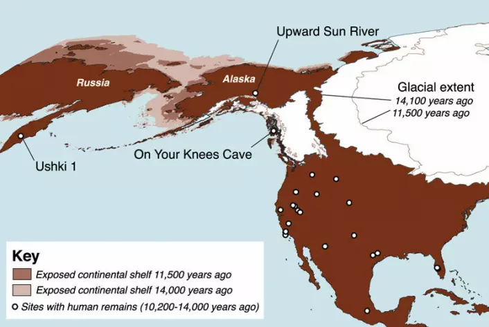 Kart som viser plasseringen av Upward Sun River, sentralt i Alaska. Andre steinalderfunn i Nord-Amerika er markert med hvit prikk. Ushki på Kamtsjatka er markert i venstre kant av kartet. Lys brun og mellombrun farge viser havnivået for 14 000 og 11 500 år siden. Utstrekningen av de to store iskappene som lå over Nord-Amerika er også markert. Klikk på forstørrelsesglass for større versjon. (Illustrasjon: Ben A. Potter, University of Alaska Fairbanks/Science/AAAS)
