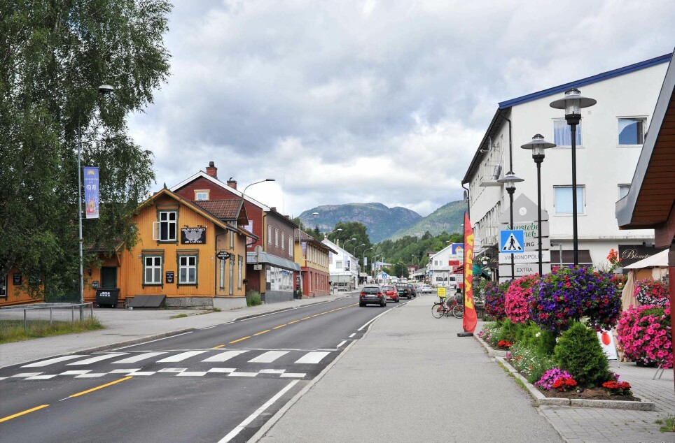 Forskere prøver å finne ut av hvilke klimatiltak som funker best på bygda, for eksempel i Midt-Telemark (tidligere Bø kommune).
