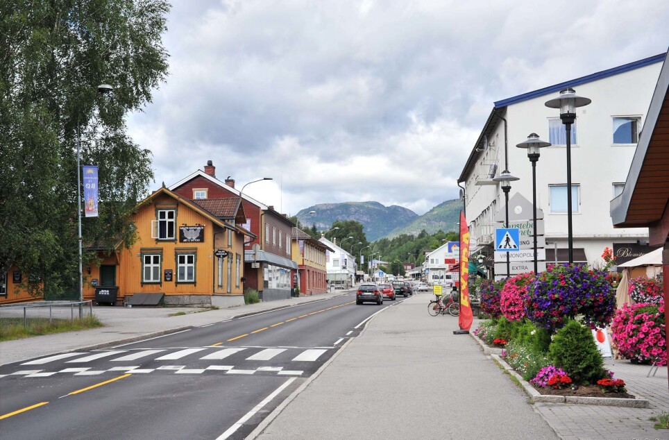Forskere prøver å finne ut av hvilke klimatiltak som funker best på bygda, for eksempel i Midt-Telemark (tidligere Bø kommune).
