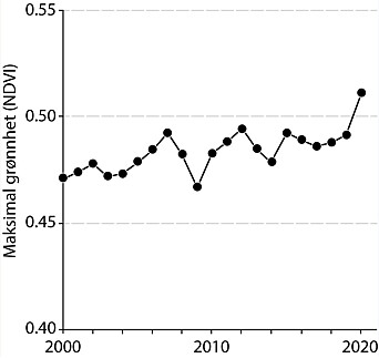 Tidsserie for sesongens høyeste grønnhet for perioden 2000 til 2020 for hele det arktiske området, inkludert Finnmarkskysten, Bjørnøya, Jan Mayen og Svalbard. Tidsserie for sesongens høyeste grønnhet for perioden 2000 til 2020 for hele det arktiske området, inkludert Finnmarkskysten, Bjørnøya, Jan Mayen og Svalbard.