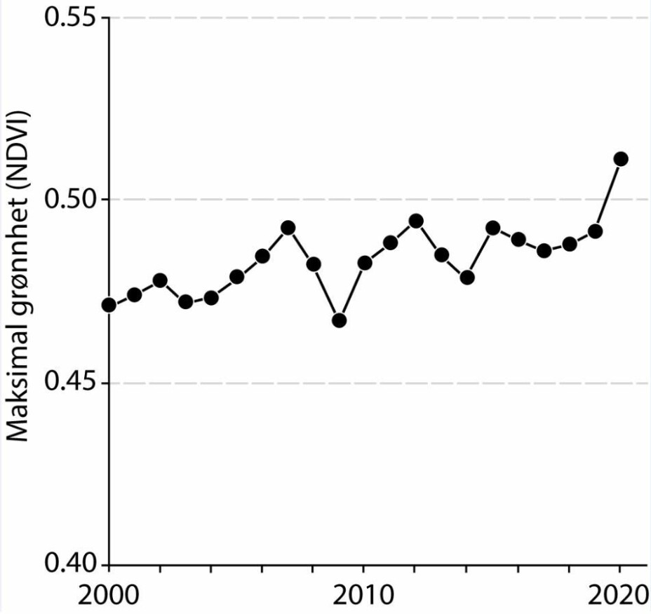 Tidsserie for sesongens høyeste grønnhet for perioden 2000 til 2020 for hele det arktiske området, inkludert Finnmarkskysten, Bjørnøya, Jan Mayen og Svalbard.