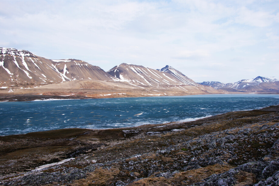 Isen på og rundt Svalbard tiner hurtig og bidrar til at landområdene blir varmere og grønnere. Her fra Linnévatnet.
