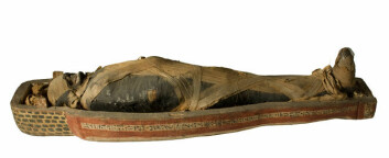 Ifølge den nye gjennomgangen i Nature, var kreft nærmest fraværende i oldtidens Egypt og Hellas. Her ses en av de egyptiske mumiene ved Bergen Museum. De har også vært skannet og undersøkt, men ikke for kreft. (Foto: Svein Skare, Bergen Museum ©)