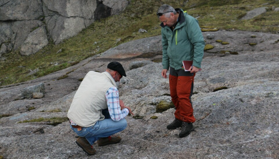 François Renard (til høyre) og Olivier Galland studerer steinstrukturer i nærheten av Nusfjord i Lofoten.