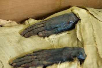Detalj fra en mumie. (Foto: iStockphoto)