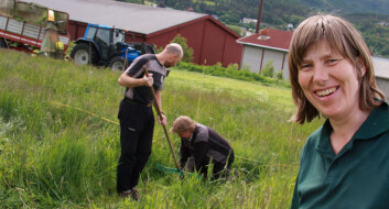 Seniorforsker Sissel Hansen ved Bioforsk Økologisk under høsting på et av forsøksfeltene. (Foto: Anita Land) Seniorforsker Sissel Hansen ved Bioforsk Økologisk under høsting på et av forsøksfeltene. (Foto: Anita Land)
