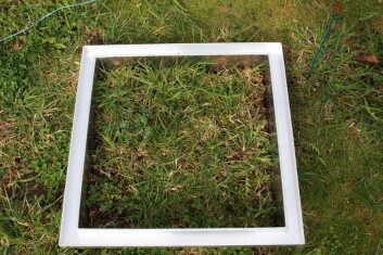 Oppå disse rammene blir det plassert bokser som skal måle utslippet av klimagasser fra graseng. (Foto: Anita Land) Oppå disse rammene blir det plassert bokser som skal måle utslippet av klimagasser fra graseng. (Foto: Anita Land)