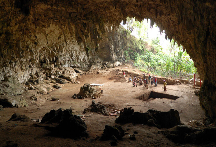 "Hulen på øya Flores i Indonesia, hvor Homo floresiensis ble funnet i 2003. (Foto: Rosino, Creative Commons)" "Hulen på øya Flores i Indonesia, hvor Homo floresiensis ble funnet i 2003. (Foto: Rosino, Creative Commons)"