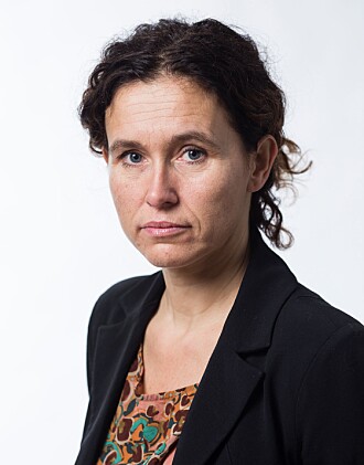 Seniorforsker Julie Wilhelmsen ved NUPI ser ørsmå tegn til at forholdet mellom Russland og Norge kan gå i en mer positiv retning. Seniorforsker Julie Wilhelmsen ved NUPI ser ørsmå tegn til at forholdet mellom Russland og Norge kan gå i en mer positiv retning.
