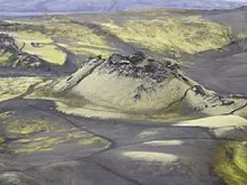 Laki-sprekkene på Island ble dannet ved ett av verdenshistoriens mest katastrofale vulkanutbrudd, i 1783-84. Vulkanen Grimsvötn er tett forbundet med disse sprekkene, og er en del av samme vulkanske system. (Foto: Juhász Péter, Wikipedia)