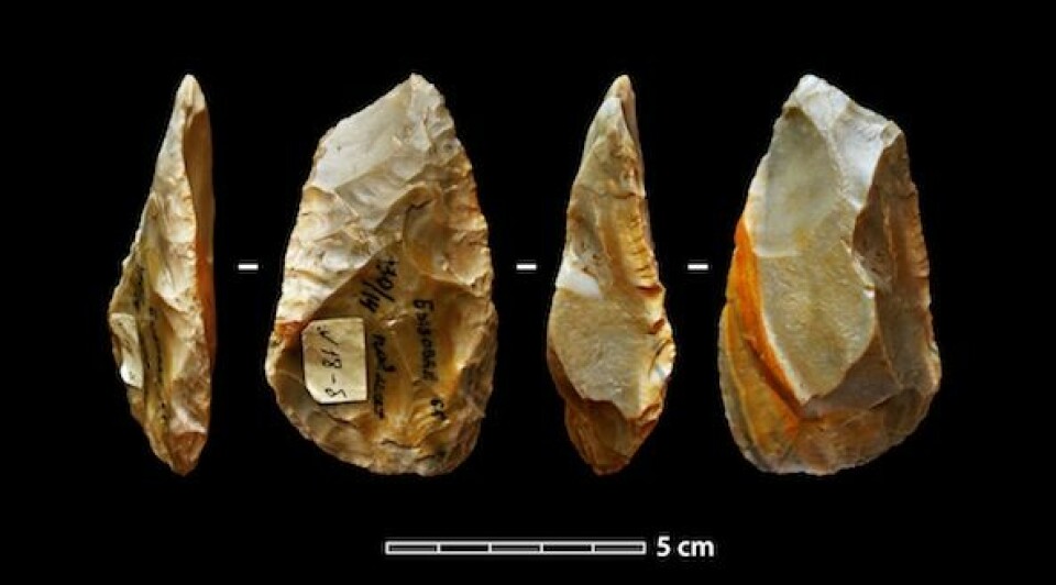 En av steinknivene som er funnet. Slike gjenstander har blitt knyttet til neandertalere på flere andre funnsteder i Europa. (Foto: Science/AAAS)