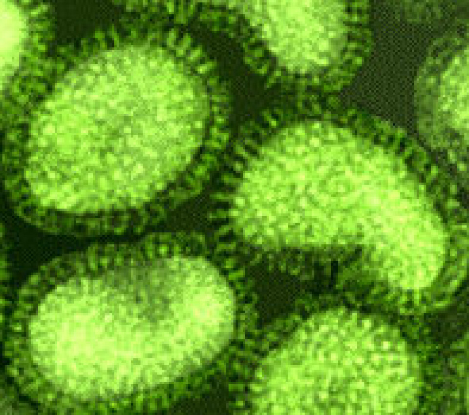 'Når den taggete overflaten på influensaviruset forandrer seg, klarer ikke kroppen å kjenne det igjen.'