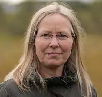 Professor Kari Anne Bråthen ved Institutt for arktisk og marin biologi.