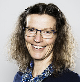Professor Anne Sverdrup-Thygeson ved NMBU. Professor Anne Sverdrup-Thygeson ved NMBU.