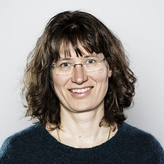 – Vi la ut forskjellige typer død ved, dels i og dels utenforsmå telt, for å undersøke hvordan insektene påvirket nedbrytningen, forteller professor Tone Birkemoe. – Vi la ut forskjellige typer død ved, dels i og dels utenforsmå telt, for å undersøke hvordan insektene påvirket nedbrytningen, forteller professor Tone Birkemoe.