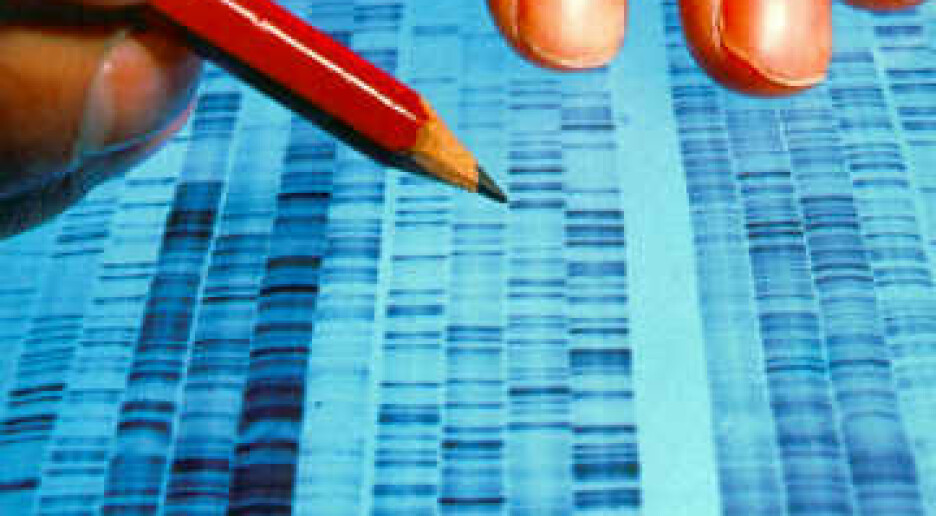 På DNA-jakt i mikrober