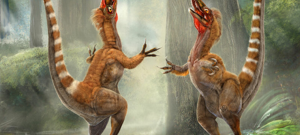 "Det er disse dinosaurene Vinther er usikker på om har fått riktig farge. (Illustrasjon: Chuang Zhao og Lida Xing)"