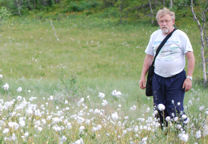 "Kjell Ivar Flatberg under feltarbeid i Overhalla i Nord-Trøndelag i fjor, hvor han lette etter trøndertorvmose. (Foto: privat)" "Kjell Ivar Flatberg under feltarbeid i Overhalla i Nord-Trøndelag i fjor, hvor han lette etter trøndertorvmose. (Foto: privat)"