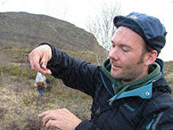 Terje Laskemoen lyfter forsiktig ein blåstrupe ut av nettet. Foto: Jarl Andreas Anmarkrud, NHM/UiO Terje Laskemoen lyfter forsiktig ein blåstrupe ut av nettet. Foto: Jarl Andreas Anmarkrud, NHM/UiO