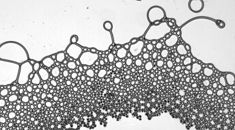 Slik lagde forskerne firkantede bobler