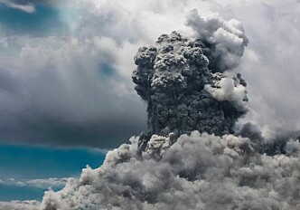 Mass extinction likely caused by lethal temperatures due to volcanic CO2 venting
