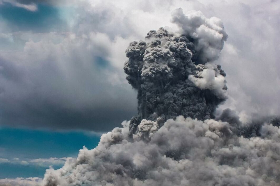 More than 95 percent of marine and 70 percent of terrestrial species were eliminated in he third mass extinction event. More than 95 percent of marine and 70 percent of terrestrial species were eliminated in he third mass extinction event.