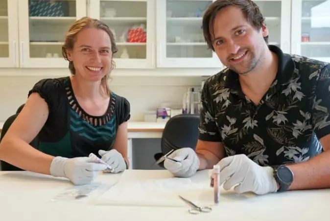 Sanne Boessenkool og Oliover Kersten ser på blodprøver og fjær for å gjøre genomanalyser.