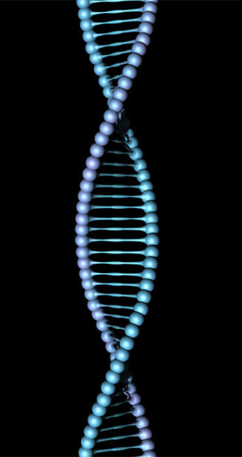 Forskerne har designet molekylenes dna-sekvenser, og kan dermed styre reaksjonene på andre molekyler. (Foto: Colourbox) Forskerne har designet molekylenes dna-sekvenser, og kan dermed styre reaksjonene på andre molekyler. (Foto: Colourbox)