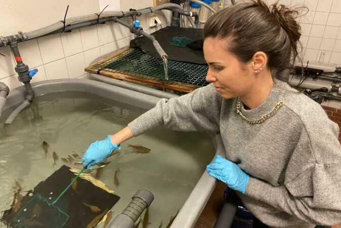 – Vi ser på selve oppskriften til fisken, forklarer Lucie Gerber. – Vi ser på selve oppskriften til fisken, forklarer Lucie Gerber.
