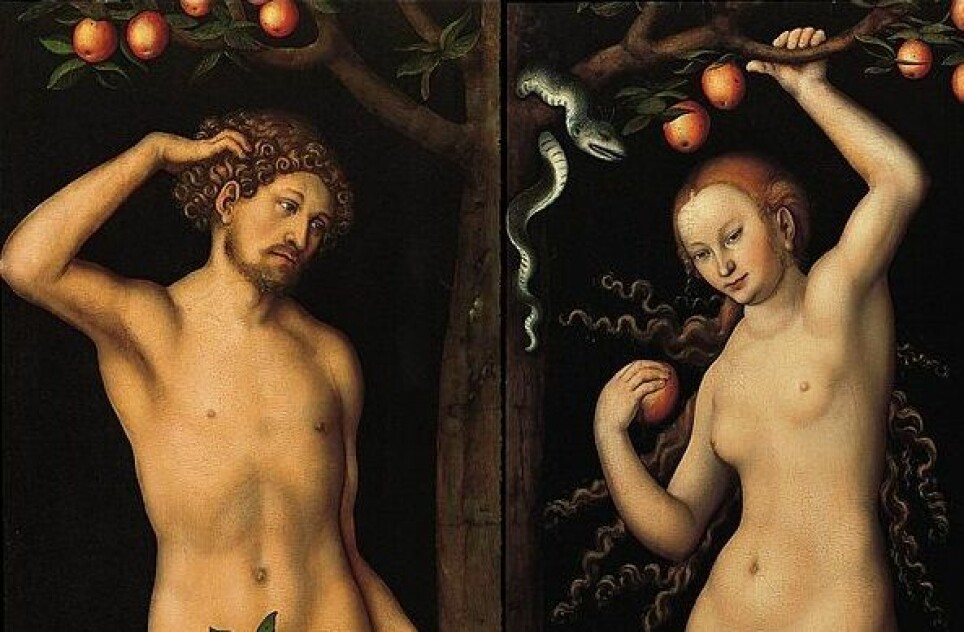 Når vi ser på bilder av to mennesker ved et tre uten klær, står de som regel med et eple. Men det er først i middelalderen eplet for alvor slår igjennom i skildringer av opprinnelsen, sier forsker Søren Holst.