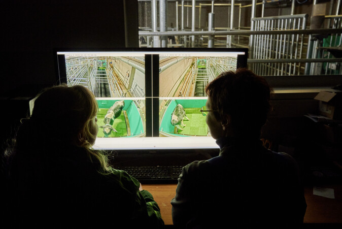 Forskerne holdt via kameraer øye med om pottetreningen gikk som planlagt. Forskerne holdt via kameraer øye med om pottetreningen gikk som planlagt.