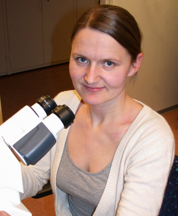 Marte Avranden Kjær har sett hvordan planteoljer og omega-3 påvirker vevstruktur i laks og torsk. (Foto: Reidun Lilleholt) Marte Avranden Kjær har sett hvordan planteoljer og omega-3 påvirker vevstruktur i laks og torsk. (Foto: Reidun Lilleholt)